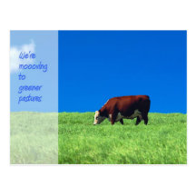 We're Moving Announcement Post Card