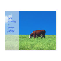 We're Moving Announcement postcards