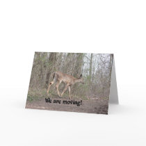 We're moving greeting cards