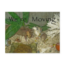 We're Moving Change of Address Postcard