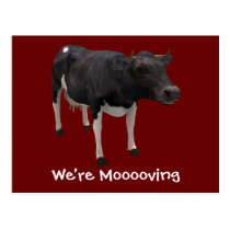 We're Moving Dairy Cow Funny Farm Humor postcards