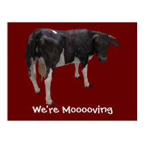 We're Moving Dairy Cow Funny Farm Humor postcards