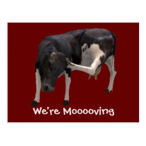 We're Moving Dairy Cow Funny Farm Humor postcards