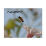 We're Moving Postcard