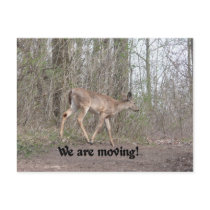 We're moving post cards