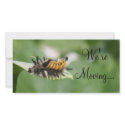 We're Moving..., TEYoung photo cards by tyounglyle We're Moving..., TEYoung photo cards