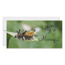We're Moving..., TEYoung photo cards by tyounglyle We're Moving..., TEYoung photo cards