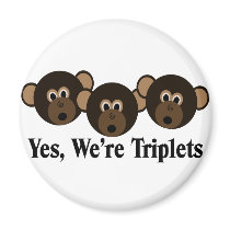 We're Triplets  Monkeys magnets