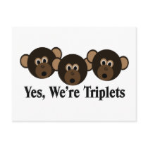 We're Triplets  Monkeys postcards