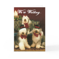 We're Waiting...Christmas Card by FUZZFACEWHIMSY We're Waiting...Christmas Card