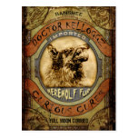 Werewolf Fur Postcard