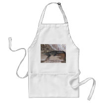West African Dwarf Croc - Osteolaemus tetraspis aprons