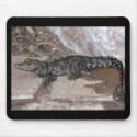 West African Dwarf Croc - Osteolaemus tetraspis mousepads by LisasLair West African Dwarf Croc - Osteolaemus tetraspis mousepads