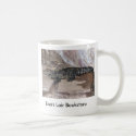 West African Dwarf Croc - Osteolaemus tetraspis mugs by LisasLair West African Dwarf Croc - Osteolaemus tetraspis mugs