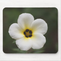 West Borneo Flower Mousepads