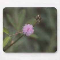 West Borneo Flower Mousepads