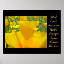 West Coast Sunshine art prints Warm Orange Poppy