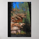 West Fork Canyon Forest 1161 posters
