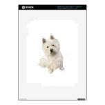 West Highland Terrier (A) iPad 3 Skin