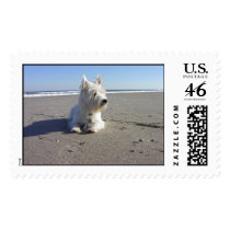West Highland Terrier at The Beach postage by prizestealer West Highland Terrier at The Beach postage