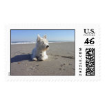 West Highland Terrier at The Beach Postage Stamps