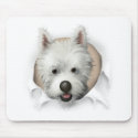 West Highland Terrier Busting Out mousepads