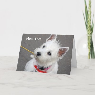 west highland terrier dog miss you card