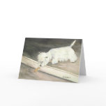 "West Highland Terrier Meets Hamster" Notecards