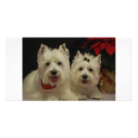 West Highland Terrier Photo Card