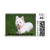 West Highland terrier postage by myjenny West Highland terrier postage