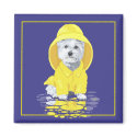 West Highland White Terrier April Showers magnets
