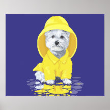 West Highland White Terrier April Showers Print