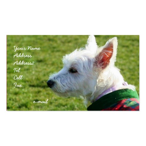 West Highland White Terrier business cards (front side)