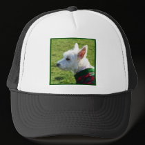 West Highland White Terrier cap hats