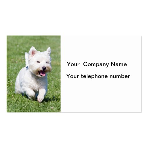 West Highland White Terrier dog business cards (front side)