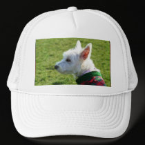 West Highland White Terrier hats