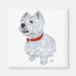 West Highland White Terrier - Looking Up Refrigerator Magnet
