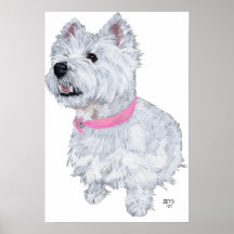 West Highland White Terrier Looking Up Print