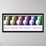 West Highland White Terrier Posters & Prints