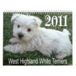 West Highland White Terrier Puppies Calendar 2011