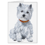West Highland White Terrier Red Collar cards