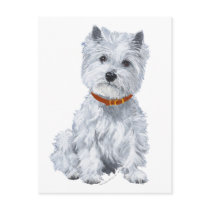West Highland White Terrier Red Collar Post Cards