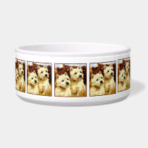 West highland White Terriers - Wardle pet bowls
