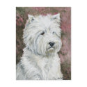 West Highlland White Terrier Dog Art Postcard