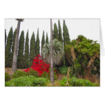 West Hollywood Garden cards
