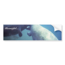 West Indian manatee Bumper Stickers