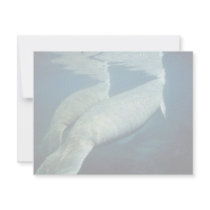 West Indian manatee invitations by animalpark West Indian manatee invitations