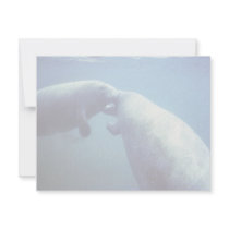 West Indian manatee invitations by animalpark West Indian manatee invitations