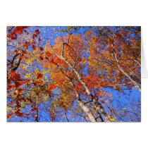 West Mt. Autumn Hot Springs National Park Gifts Card