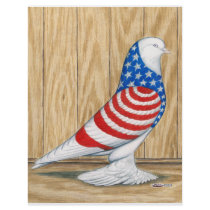 West of England Patriot Tumbler Full Color Flyer